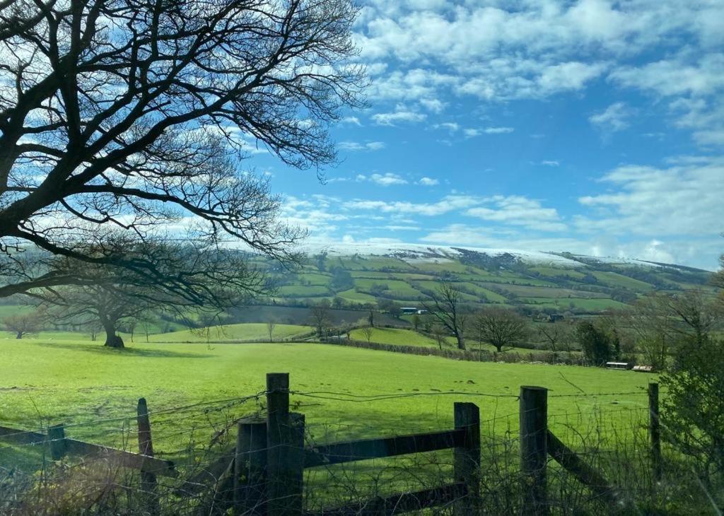 Glasfryn Cottage ドルゲラウ エクステリア 写真